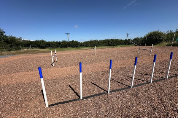 Happy Paws Secure Dog Field weaves